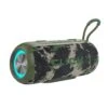 CLICK Roam 10W Wireless Speaker - Camo